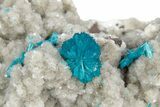 Vibrant Blue Cavansite Crystals on Sparkling Stilbite - India #340991-1